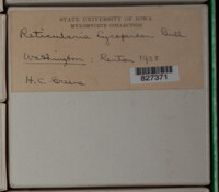 Image Associated With the Occurence